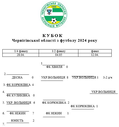 Чернігівщина футбольна в 2024 році: тріумфували ФК «Борзна» та «Українська Вольниця», «Десна» – шоста в області