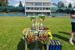 ААФУ: Агротех знову здобув звання чемпіона України серед аматорів – Корміл мав свої моменти, але все вирішив один гол